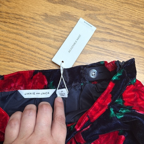 NWT Janie and Jack Rose Velvet Tulle Skirt | 2T - Picture 5 of 6